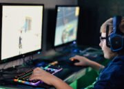 The New Threat to Wolves in and Around Yellowstone