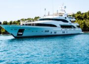 This Is a Giant Shipworm. You May Wish It Had Stayed In Its Tube.