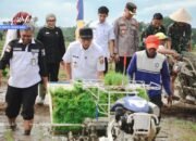 Hadapi Musim Tanam Kedua, Pemprov Lampung Targetkan 3,5 Juta Ton Padi