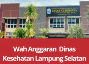 Wah Anggaran  Dinas Kesehatan Lampung Selatan Tidak Sehat, Diduga Rugikan Negara Miliaran