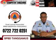 BPBD Tanggamus Usulkan Sea Wall atau Tanggul Penahan Ombak Kepemerintah Pusat