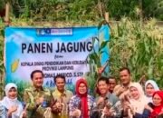Disdikbud Lampung Apresiasi Proyek Pertanian SMAN 2 Kalianda
